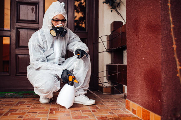 Reliable Wasp Removal contractor in Robinwood, MD by Show Me Pest Control